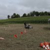 dji_0864 mittel